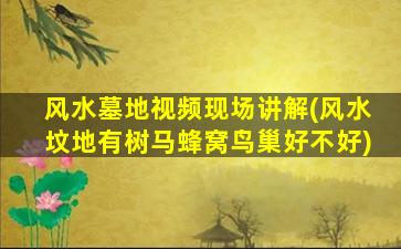 风水墓地视频现场讲解(风水坟地有树马蜂窝鸟巢好不好)