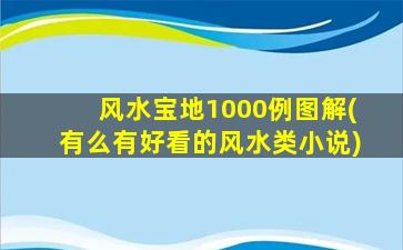 风水宝地1000例图解(有么有好看的风水类小说)