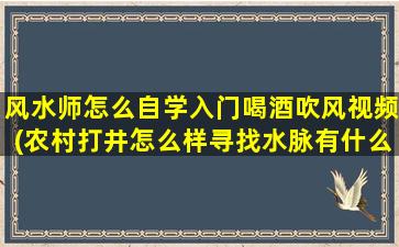 风水师怎么自学入门喝酒吹风视频(农村打井怎么样寻找水脉有什么好的方法吗)
