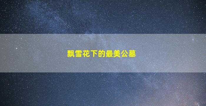 飘雪花下的最美公墓