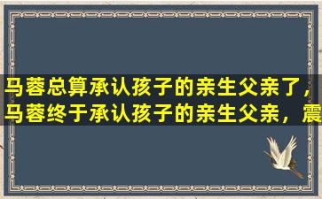 马蓉总算承认孩子的亲生父亲了，马蓉终于承认孩子的亲生父亲，震惊娱乐圈！