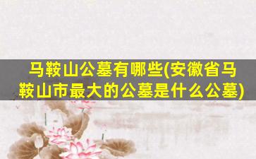 马鞍山公墓有哪些(安徽省马鞍山市最大的公墓是什么公墓)