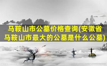 马鞍山市公墓价格查询(安徽省马鞍山市最大的公墓是什么公墓)