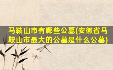 马鞍山市有哪些公墓(安徽省马鞍山市最大的公墓是什么公墓)