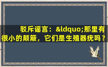 驳斥谣言：“那里有很小的颠簸，它们是生殖器疣吗？医生教你如何区分