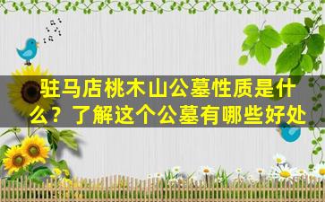 驻马店桃木山公墓性质是什么？了解这个公墓有哪些好处