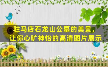 驻马店石龙山公墓的美景，让你心旷神怡的高清图片展示