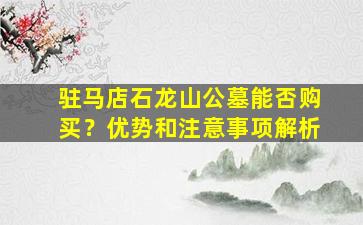 驻马店石龙山公墓能否购买？优势和注意事项解析