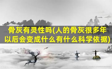 骨灰有灵性吗(人的骨灰很多年以后会变成什么有什么科学依据)