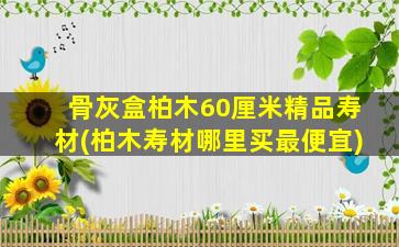 骨灰盒柏木60厘米精品寿材(柏木寿材哪里买最便宜)