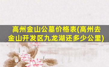 高州金山公墓价格表(高州去金山开发区九龙湖还多少公里)