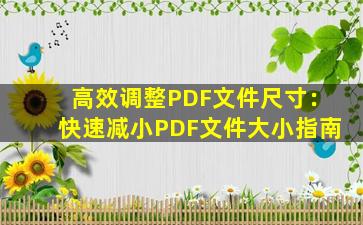 高效调整PDF文件尺寸：快速减小PDF文件大小指南