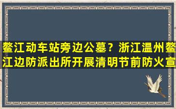 鳌江动车站旁边公墓？浙江温州鳌江边防派出所开展清明节前防火宣传工作