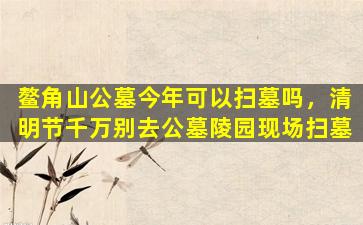 鳌角山公墓今年可以扫墓吗，清明节千万别去公墓陵园现场扫墓