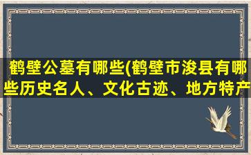 鹤壁公墓有哪些(鹤壁市浚县有哪些历史名人、文化古迹、地方特产)