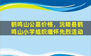鹤鸣山公墓价格，沅陵县鹤鸣山小学组织缅怀先烈活动