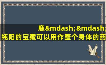 鹿——纯阳的宝藏可以用作整个身体的药物，这是滋养肾阳的最佳选择！
