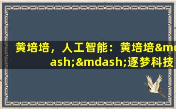 黄培培，人工智能：黄培培——逐梦科技界