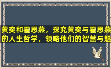 黄奕和霍思燕，探究黄奕与霍思燕的人生哲学，领略他们的智慧与魅力