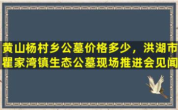 黄山杨村乡公墓价格多少，洪湖市瞿家湾镇生态公墓现场推进会见闻