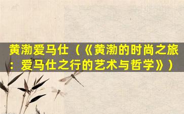 黄渤爱马仕（《黄渤的时尚之旅：爱马仕之行的艺术与哲学》）