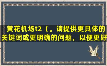 黄花机场t2（。请提供更具体的关键词或更明确的问题，以便更好地提供帮助。）