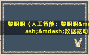 黎明明（人工智能：黎明明——数据驱动的金融风控专家）