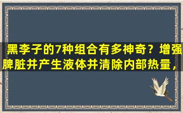 黑李子的7种组合有多神奇？增强脾脏并产生液体并清除内部热量，并打开五个内部器官