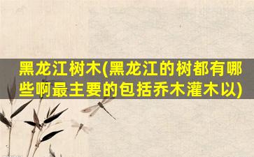 黑龙江树木(黑龙江的树都有哪些啊最主要的包括乔木灌木以)