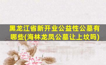 黑龙江省新开业公益性公墓有哪些(海林龙凤公墓让上坟吗)