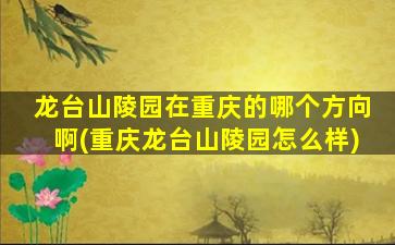 龙台山陵园在重庆的哪个方向啊(重庆龙台山陵园怎么样)