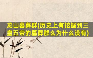 龙山墓葬群(历史上有挖掘到三皇五帝的墓葬群么为什么没有)